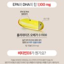 1100 | 홀리데이즈 오메가3 1100ㅣ내돈내산 후기 혈행 개선 가성비 영양제 추천