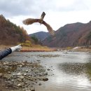 경북야생동물구조관리센터 이미지