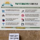 서울근교 우정여행 대부도 햇살키즈풀빌라 펜션 솔직한 후기