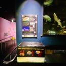 수조AI센터 | 대구 신세계백화점 아쿠아리움 후기와 주차장 가까운 자리