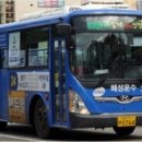 솔향기바다