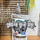 소형앵무새 유리앵무 알곡추천 앵친소알곡 마이버드샵 내돈내산 너무 잘 먹네ㅎㅎ