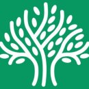 경산세무서 이미지