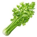 셀러리 이미지