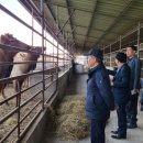 영산강사슴·곰농장 이미지