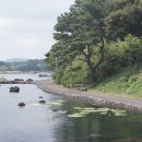 명성자원 이미지