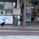 밀양댐스쿨캠핑장 이미지