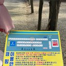 A19 | 대부도 나라펜션캠핑장 A1~A19 사이트 명당 오션뷰 자세한 후기