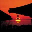 해오름 빛 이미지