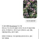 영천역광장 광장벤치 앞 | [여행] 스페인여행 5 / 세비야(스페인광장,플라멩코공연)