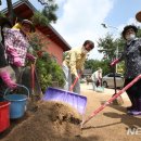 백암시장 이미지