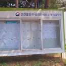 동해행정사사무소 이미지