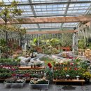 화이트동물메디컬센터 이미지