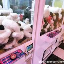 뽑기 FLEX 이미지