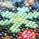 루프리텔캄 이미지