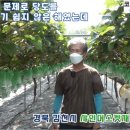 김천아그로 이미지