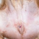 과천우주동물병원 이미지