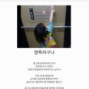 영특 이미지