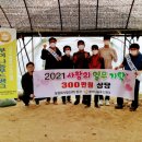 법인장산