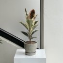 푸른길도서관 주차장 이미지