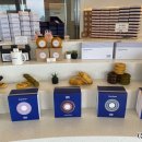 바움하우스 이미지