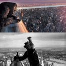 희망MOTORS 이미지