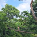 초간정화장실 이미지