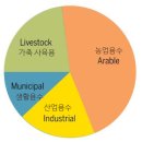 [과학카페] 고기를 향한 무서운 열망... 어떻게 해결할까? 이미지