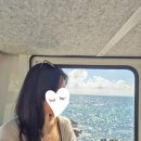 죽변전기조명 | 강원도 여행 1일차 :) 울진 여행 코스 울진모노레일 울진 맛집 스노쿨링 포인트 추천
