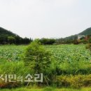 회재로 이미지