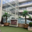 어라운드1142 이미지