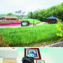 모량초등학교 | 박목월의 생가