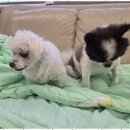 데이두케어 이미지