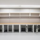 부산강아지분양 마이뭉 24시 | 부산강아지분양 마이뭉 24시 부산애견분양 해보니 이런 점이 좋았던 후기