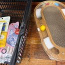 이츠펫 온양점 이미지