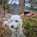 별천지펜션민박 | 경북/영양 가성비 촌캉스 독채 펜션 숙소 추천 일월산한우네민박 1탄