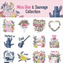 디올엔터테인먼트 이미지