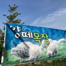 산꼭대기 목장 이미지