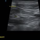 강서YD동물의료센터 이미지