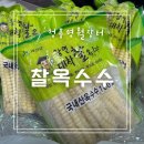 대학찰옥수수 | 냉동 괴산햇대학찰옥수수 쫀득쫀득한 맛 제대로 청풍명월장터!