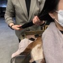 보연미용실 이미지