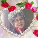 청목장갑 이미지