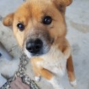 한일방앗간 이미지