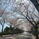 색달동-26 이미지