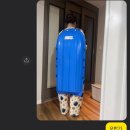 삿포로 왜 가요? 등산 찐초보의 대관령 선자령 웅장한 설산 트레킹 후기 with 산봉우리(SBW)