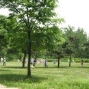 용산가족공원 이미지