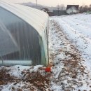 션샤인 하우스 이미지