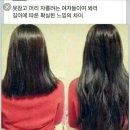 류헤어갤러리 이미지