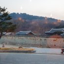 엘리펀트캐슬