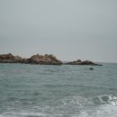 바위섬회타운 | 경주 여행 코스 바다를 지키는 경주 문무대왕릉, 감포 횟집